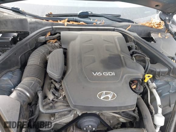 ✅ 2015 Hyundai Genesis 3.8L • VIN: KMHGN4JE8FU033245 • Лот: 43755627. Опубликован ранее на IAAI с пробегом 145 333 миль. Бесплатный доступ к архиву аукционных продаж из США и подробный отчёт об истории автомобиля на DreamBid. Изображение 10.