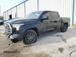 ✅ 2023 Toyota Tundra Platinum • VIN: 5TFNA5AB0PX026342 • Lot: 44012145. Listed on Copart with 34,550 mi. Free auction sales archive from the USA and detailed vehicle history report at DreamBid. Image 1.