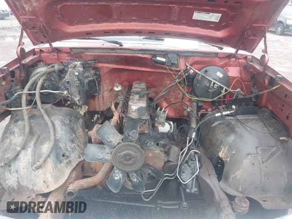 ✅ 1995 Ford F-150 • VIN: 1FTEX14Y6SKA92455 • Lot: 42208650. Listed on IAAI with Not provided. Free auction sales archive from the USA and detailed vehicle history report at DreamBid. Image 10.