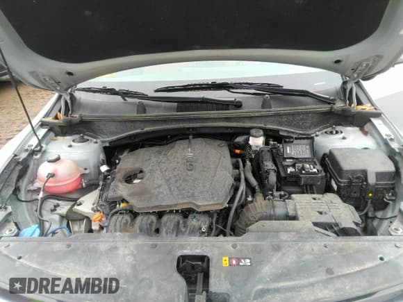 ✅ 2023 Kia Sportage SX-Prestige • VIN: 5XYK5CAF3PG133449 • Lot: 41716885. Wystawiony na IAAI z przebiegiem 25 582 mil. Bezpłatny archiwum sprzedaży aukcyjnych z USA i szczegółowy raport historii pojazdu na DreamBid. Zdjęcie 10.