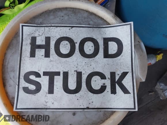 ✅ 2013 Hyundai Elantra SE • VIN: KMHDH6AE1DU020341 • Лот: 42753011. Опубликован ранее на IAAI с пробегом 123 415 миль. Бесплатный доступ к архиву аукционных продаж из США и подробный отчёт об истории автомобиля на DreamBid. Изображение 10.