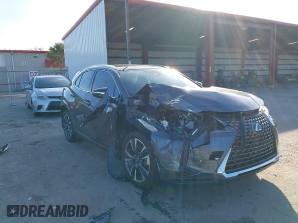 ✅ 2025 Lexus UX 300h • VIN: JTHYBJAH6S2000422 • Lot: 41258101. Listed on IAAI with 14,266 mi. Free auction sales archive from the USA and detailed vehicle history report at DreamBid. Image 6.