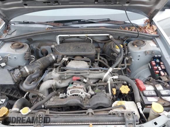 ✅ 2006 Subaru Forester X • VIN: JF1SG636X6H733633 • Lot: 43887665. Listed on IAAI with 111,457 mi. Free auction sales archive from the USA and detailed vehicle history report at DreamBid. Image 10.