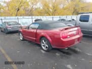 ✅ 2006 Ford Mustang GT Deluxe • VIN: 1ZVHT85H365242880 • Lot: 43632803. Listed on IAAI with Not provided. Free auction sales archive from the USA and detailed vehicle history report at DreamBid. Image 3.