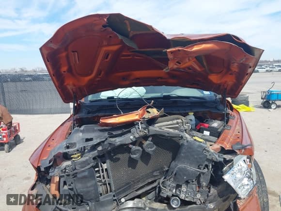 ✅ 2010 Dodge 1500 SLT • VIN: 1D7RB1GT9AS171008 • Lot: 41647485. Wystawiony na IAAI z przebiegiem 120 242 mil. Bezpłatny archiwum sprzedaży aukcyjnych z USA i szczegółowy raport historii pojazdu na DreamBid. Zdjęcie 10.