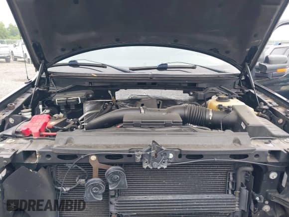 ✅ 2013 Ford F-150 XL • VIN: 1FTFX1ET5DFB50803 • Лот: 42459716. Опубликован ранее на IAAI с пробегом 115 257 миль. Бесплатный доступ к архиву аукционных продаж из США и подробный отчёт об истории автомобиля на DreamBid. Изображение 10.