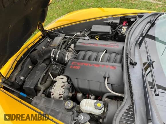 2005 Chevrolet Corvette with VIN 1G1YY24U255112810, listed as a Copart auction lot 83515514 with 67,790 mi miles and Clean title. Bid and sale history available at DreamBid. Image 7.