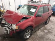 ✅ 2008 Ford Escape XLT • VIN: 1FMCU03198KC81619 • Lot: 43872448. Listed on IAAI with 209,267 mi. Free auction sales archive from the USA and detailed vehicle history report at DreamBid. Image 2.