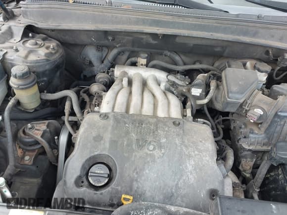 ✅ 2009 Hyundai Santa Fe GLS • VIN: 5NMSG13D29H322340 • Lot: 43335825. Listed on IAAI with 306,617 mi. Free auction sales archive from the USA and detailed vehicle history report at DreamBid. Image 10.