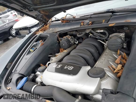 ✅ 2005 Porsche Cayenne S • VIN: WP1AB29P55LA62136 • Lot: 43734084. Listed on IAAI with 130,937 mi. Free auction sales archive from the USA and detailed vehicle history report at DreamBid. Image 10.