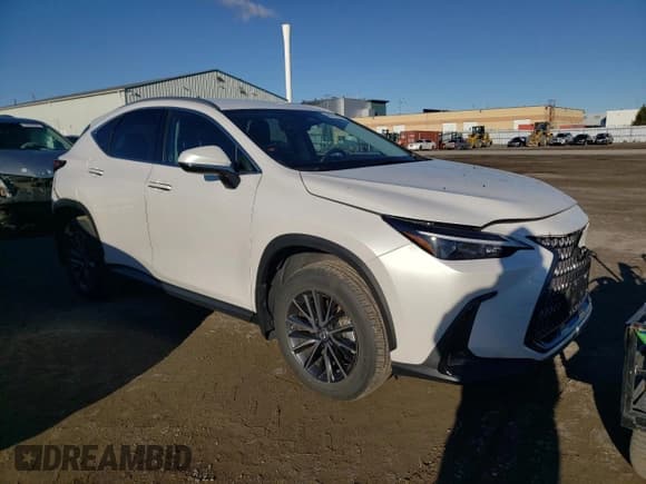 ✅ 2023 Lexus NX 250 • VIN: 2T2ADCEZ7PC003569 • Lot: 80216874. Listed on Copart with 15,142 mi. Free auction sales archive from the USA and detailed vehicle history report at DreamBid. Image 4.