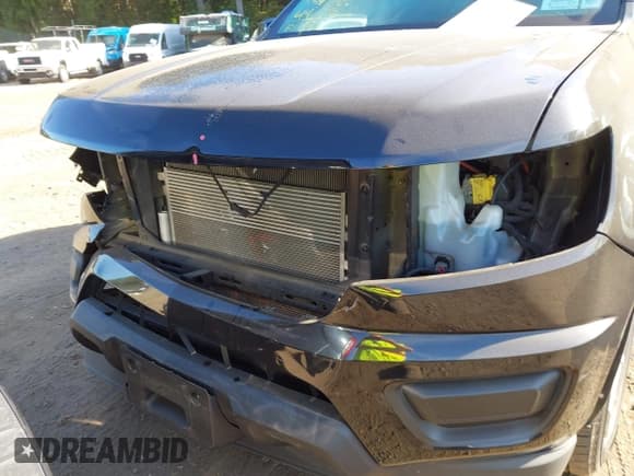 ✅ 2019 Chevrolet Colorado 4WD LT • VIN: 1GCGTCEN2K1104787 • Лот: 43356271. Опубликован ранее на IAAI с пробегом 159 614 миль. Бесплатный доступ к архиву аукционных продаж из США и подробный отчёт об истории автомобиля на DreamBid. Изображение 6.