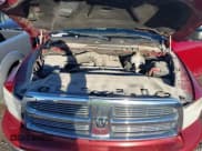 ✅ 2009 Dodge 1500 SLT • VIN: 1D3HV13T99S718137 • Lot: 40863172. Wystawiony na IAAI z przebiegiem 159 564 mil. Bezpłatny archiwum sprzedaży aukcyjnych z USA i szczegółowy raport historii pojazdu na DreamBid. Zdjęcie 10.