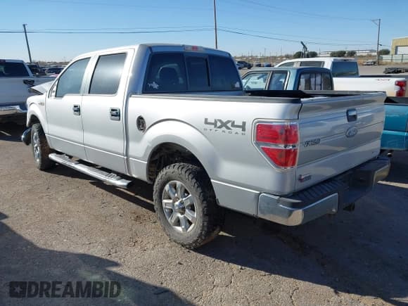 ✅ 2011 Ford F-150 XLT • VIN: 1FTFW1EF9BFB56131 • Lot: 43915963. Listed on IAAI with 166,698 mi. Free auction sales archive from the USA and detailed vehicle history report at DreamBid. Image 3.