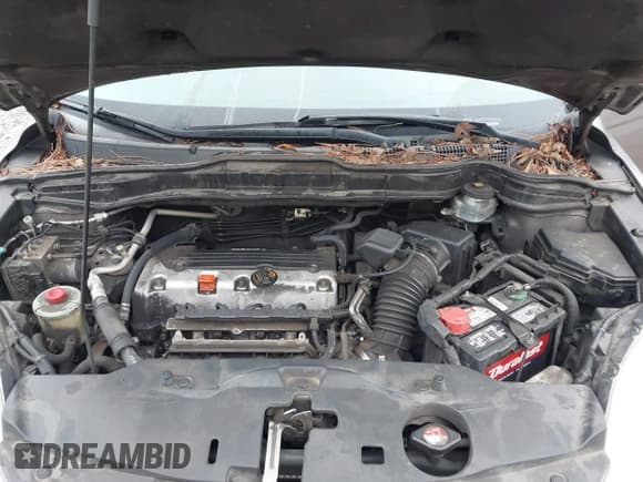 ✅ 2011 Honda CR-V SE • VIN: 5J6RE3H45BL000637 • Лот: 43828318. Опубликован ранее на IAAI с пробегом 274 852 миль. Бесплатный доступ к архиву аукционных продаж из США и подробный отчёт об истории автомобиля на DreamBid. Изображение 10.