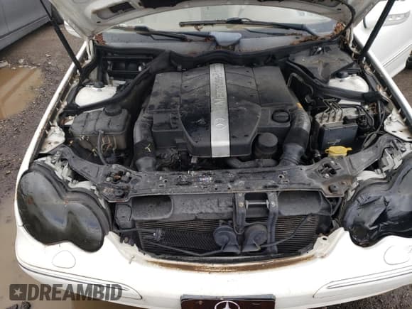 ✅ 2003 Mercedes-Benz C 240 • VIN: WDBRF81J83F372360 • Lot: 50892603. Wystawiony na Copart z przebiegiem 75 530 mil. Bezpłatny archiwum sprzedaży aukcyjnych z USA i szczegółowy raport historii pojazdu na DreamBid. Zdjęcie 11.