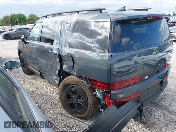 2025 Hyundai Santa Fe XRT с VIN 5NMP3DGLXSH118704, выставлен на аукционе IAAI как лот 41804081 с пробегом 77 миль миль и . История ставок и продаж доступна на DreamBid. Изображение 3.