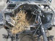 ✅ 2019 Ford Mustang GT Premium • VIN: 1FA6P8CFXK5193161 • Lot: 86142685. Listed on Copart with Not provided. Free auction sales archive from the USA and detailed vehicle history report at DreamBid. Image 11.