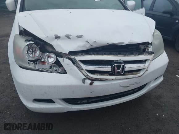 ✅ 2005 Honda Odyssey EX-L • VIN: 5FNRL38655B411556 • Lot: 43704042. Listed on IAAI with 205,713 mi. Free auction sales archive from the USA and detailed vehicle history report at DreamBid. Image 6.