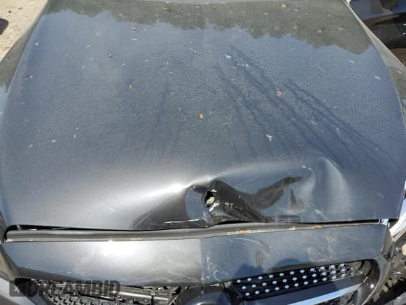 ✅ 2023 Mercedes-Benz C 300 • VIN: W1KWJ8EB9PG131614 • Lot: 58864384. Wystawiony na Copart z przebiegiem 3 069 mil. Bezpłatny archiwum sprzedaży aukcyjnych z USA i szczegółowy raport historii pojazdu na DreamBid. Zdjęcie 11.