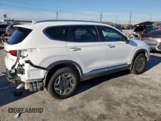 ✅ 2021 Hyundai Santa Fe Blue • VIN: KM8S2DA19MU006777 • Lot: 40487384. Wystawiony na Copart z przebiegiem 55 959 mil. Bezpłatny archiwum sprzedaży aukcyjnych z USA i szczegółowy raport historii pojazdu na DreamBid. Zdjęcie 3.