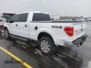 ✅ 2013 Ford F-150 XL • VIN: 1FTFW1EFXDFA99876 • Lot: 41859370. Wystawiony na IAAI z przebiegiem 248 683 mil. Bezpłatny archiwum sprzedaży aukcyjnych z USA i szczegółowy raport historii pojazdu na DreamBid. Zdjęcie 3.