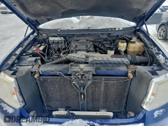 ✅ 2008 Ford F-150 XLT • VIN: 1FTPX14V38FB23239 • Лот: 95145575. Опубликован ранее на Copart с пробегом 144 366 миль. Бесплатный доступ к архиву аукционных продаж из США и подробный отчёт об истории автомобиля на DreamBid. Изображение 11.