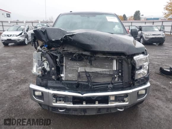 ✅ 2016 Ford F-150 Lariat • VIN: 1FTEW1EF2GFA18899 • Lot: 43680403. Wystawiony na IAAI z przebiegiem 175 540 mil. Bezpłatny archiwum sprzedaży aukcyjnych z USA i szczegółowy raport historii pojazdu na DreamBid. Zdjęcie 12.