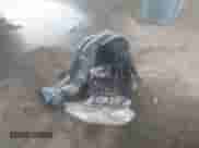 2011 Toyota Sienna XLE AAS with VIN 5TDYK3DCXBS109388, listed as a IAAI auction lot 43458840 with 177,543 mi miles and . Bid and sale history available at DreamBid. Image 12.