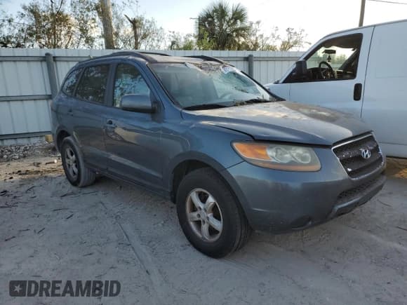 ✅ 2007 Hyundai Santa Fe GLS • VIN: 5NMSG13D77H099001 • Lot: 76112454. Listed on Copart with 230,368 mi. Free auction sales archive from the USA and detailed vehicle history report at DreamBid. Image 4.