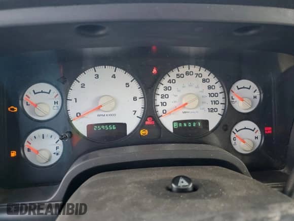 2002 Dodge 1500 z VIN 1D7HA18N32S609117, wystawiony jako Copart lot #69527594 z przebiegiem 259 556 mil mil oraz Szkoda całkowita • Salvage title. Historia ofert i sprzedaży dostępna na DreamBid. Obrazek 9.