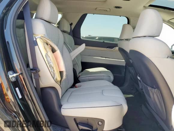 ✅ 2025 Hyundai Palisade Limited • VIN: KM8R54GE1SU895605 • Лот: 66092815. Размещён на Copart с пробегом 478 миль миль. Получите бесплатный доступ к архиву аукционных продаж из США и посмотрите подробный отчёт об истории автомобиля на DreamBid. Изображение 11.