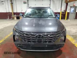 2023 Hyundai Tucson Limited с VIN 5NMJECAE5PH168759, выставлен на аукционе Copart как лот 90705955 с пробегом 13 285 миль миль и Списание • Salvage title. История ставок и продаж доступна на DreamBid. Изображение 5.