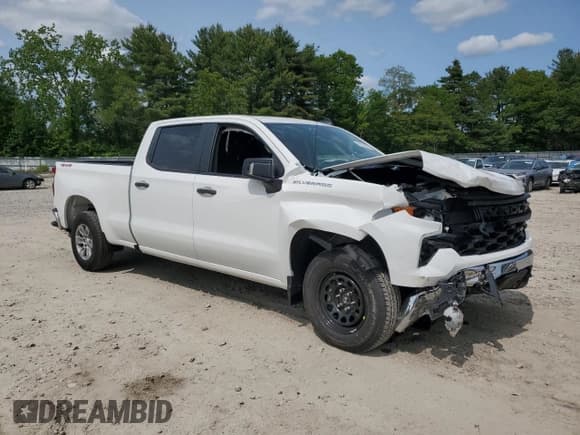 ✅ 2025 Chevrolet Silverado 1500 • VIN: 1GCUKAED1SZ217603 • Лот: 59251825. Опубликован ранее на Copart с пробегом 994 миль. Бесплатный доступ к архиву аукционных продаж из США и подробный отчёт об истории автомобиля на DreamBid. Изображение 4.