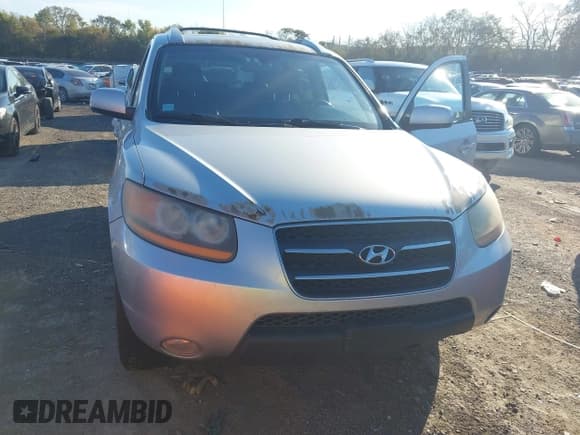 ✅ 2009 Hyundai Santa Fe Limited • VIN: 5NMSH13E29H241585 • Лот: 43620407. Опубликован ранее на IAAI с пробегом 279 155 миль. Бесплатный доступ к архиву аукционных продаж из США и подробный отчёт об истории автомобиля на DreamBid. Изображение 6.