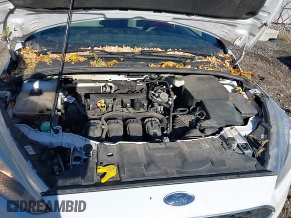 ✅ 2017 Ford Focus SE • VIN: 1FADP3K24HL259538 • Lot: 43701564. Wystawiony na IAAI z przebiegiem 184 903 mil. Bezpłatny archiwum sprzedaży aukcyjnych z USA i szczegółowy raport historii pojazdu na DreamBid. Zdjęcie 10.