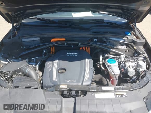 ✅ 2013 Audi Q5 Hybrid Prestige • VIN: WA1C8AFP9DA071885 • Lot: 39219627. Wystawiony na IAAI z przebiegiem 48 020 mil. Bezpłatny archiwum sprzedaży aukcyjnych z USA i szczegółowy raport historii pojazdu na DreamBid. Zdjęcie 10.