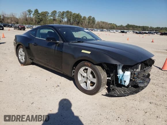 ✅ 2024 Ford Mustang EcoBoost • VIN: 1FA6P8TH2R5111676 • Лот: 42688734. Опубликован ранее на Copart с пробегом 3 955 миль. Бесплатный доступ к архиву аукционных продаж из США и подробный отчёт об истории автомобиля на DreamBid. Изображение 4.