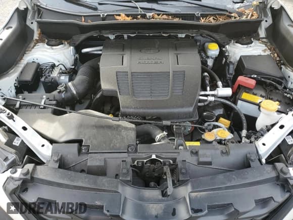 ✅ 2023 Subaru Forester Wilderness • VIN: JF2SKAMCXPH537209 • Lot: 91663525. Listed on Copart with 19,641 mi. Free auction sales archive from the USA and detailed vehicle history report at DreamBid. Image 11.