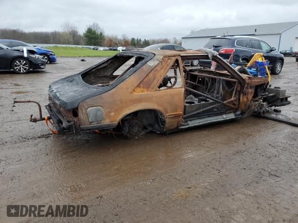 ✅ 1990 Ford Mustang GT • VIN: 1FACP42E1LF187135 • Lot: 81181174. Listed on Copart with Not provided. Free auction sales archive from the USA and detailed vehicle history report at DreamBid. Image 3.