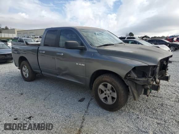2010 Dodge 1500 ST with VIN 1D7RB1GP9AS154454, listed as a Copart auction lot 78296594 with 195,267 mi miles and Salvage title. Bid and sale history available at DreamBid. Image 4.
