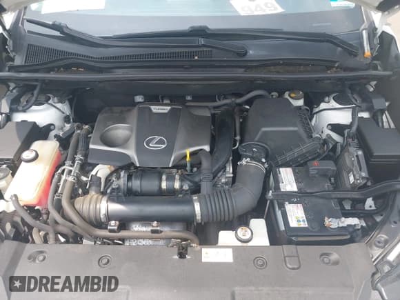 ✅ 2018 Lexus NX 300 • VIN: JTJBARBZ6J2164555 • Лот: 42404503. Опубликован ранее на IAAI с пробегом 81 776 миль. Бесплатный доступ к архиву аукционных продаж из США и подробный отчёт об истории автомобиля на DreamBid. Изображение 10.