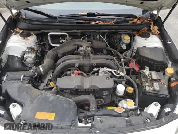 ✅ 2017 Subaru Legacy Limited • VIN: 4S3BNAN61H3059842 • Lot: 70969182. Wystawiony na Copart z przebiegiem 103 216 mil. Bezpłatny archiwum sprzedaży aukcyjnych z USA i szczegółowy raport historii pojazdu na DreamBid. Zdjęcie 11.