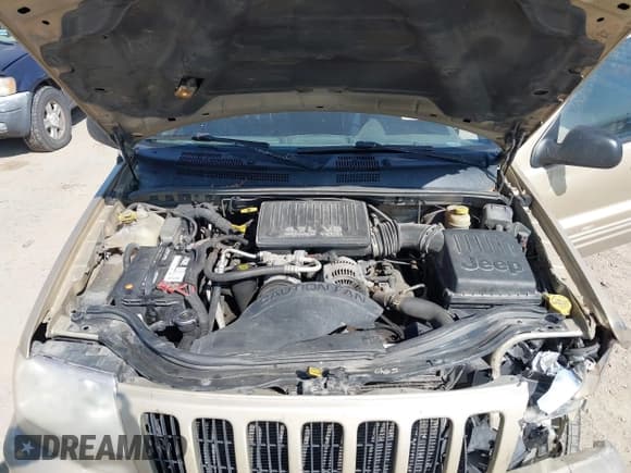 ✅ 2000 Jeep Grand Cherokee Limited • VIN: 1J4GW58N1YC242326 • Лот: 43247505. Опубликован ранее на IAAI с пробегом 261 511 миль. Бесплатный доступ к архиву аукционных продаж из США и подробный отчёт об истории автомобиля на DreamBid. Изображение 10.