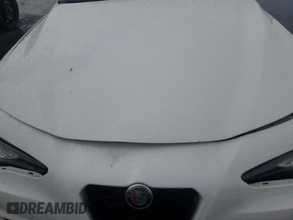 ✅ 2021 Alfa Romeo Giulia Ti • VIN: ZARFANBN1M7648754 • Lot: 55331525. Wystawiony na Copart z przebiegiem Nie podano. Bezpłatny archiwum sprzedaży aukcyjnych z USA i szczegółowy raport historii pojazdu na DreamBid. Zdjęcie 11.