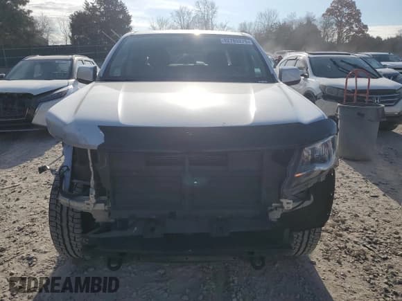 ✅ 2019 Chevrolet Colorado 4WD LT • VIN: 1GCGTCEN1K1120916 • Lot: 82785275. Listed on Copart with 127,684 mi. Free auction sales archive from the USA and detailed vehicle history report at DreamBid. Image 5.