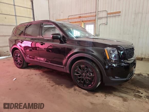 ✅ 2022 Kia Telluride SX • VIN: 5XYP5DHC3NG293058 • Lot: 70522195. Wystawiony na Copart z przebiegiem 41 644 mil. Bezpłatny archiwum sprzedaży aukcyjnych z USA i szczegółowy raport historii pojazdu na DreamBid. Zdjęcie 4.