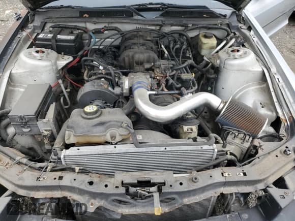 ✅ 2005 Ford Mustang Deluxe • VIN: 1ZVFT80N555245007 • Lot: 60809225. Listed on Copart with Not provided. Free auction sales archive from the USA and detailed vehicle history report at DreamBid. Image 11.