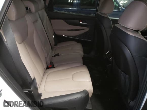 ✅ 2020 Hyundai Santa Fe Limited • VIN: 5NMS5CAA3LH298468 • Lot: 44438983. Wystawiony na Copart z przebiegiem 41 350 mil. Bezpłatny archiwum sprzedaży aukcyjnych z USA i szczegółowy raport historii pojazdu na DreamBid. Zdjęcie 11.