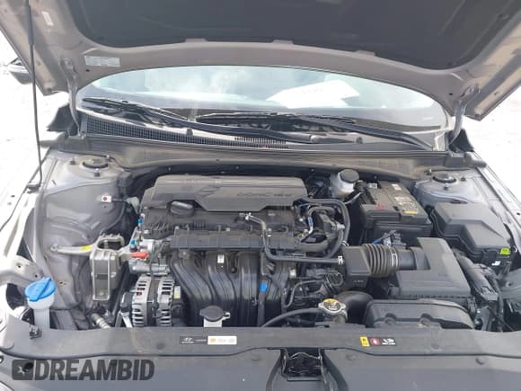 ✅ 2024 Hyundai Elantra Limited • VIN: KMHLP4DG4RU662057 • Lot: 43411119. Listed on IAAI with 25,102 mi. Free auction sales archive from the USA and detailed vehicle history report at DreamBid. Image 10.